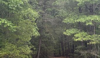 452 Tram Rd, Cades, SC 29518