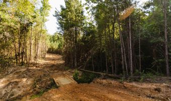 235 Woodrow Martin Rd, Brandon, MS 39042