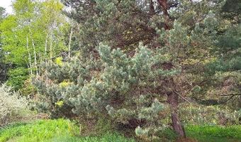 Parcel 2 Lakeshore Road, Applegate, MI 48401