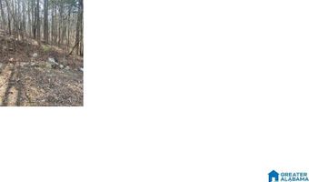 PLUTO CIRCLE lot 21, Alpine, AL 35014