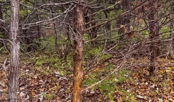 170 Th St, Albia, IA 52531