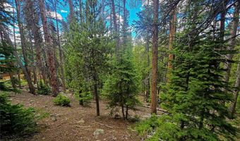 1013 RANGE Rd, Breckenridge, CO 80424