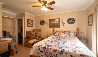 204 Rose Ave, Alcoa, TN 37701