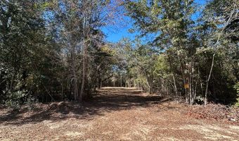 20 Ac Coot Adams Rd, Ashford, AL 36312