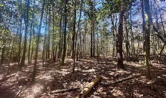 0 Tervin Mill Rd, Andalusia, AL 36421