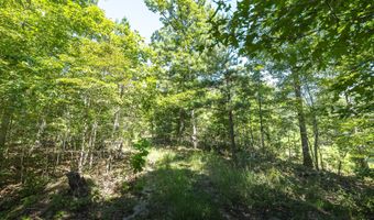 470 County Road 118, Annapolis, MO 63670