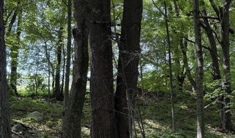 28 Mile Rd, Albion, MI 49224
