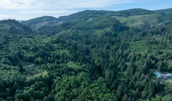 N Dubois Rd, Ariel, WA 98603