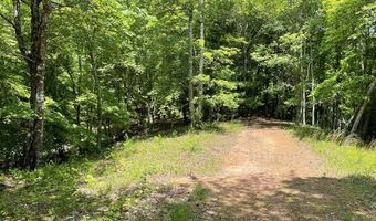 21 Collett Woods Trl Lot #21, Andrews, NC 28901