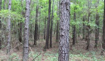 Hwy 550, Brookhaven, MS 39601