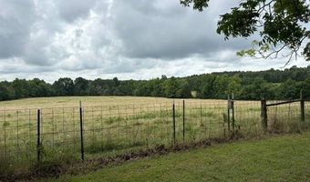 925 Peace Valley Rd, Ash Flat, AR 72513