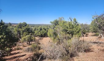 Tbd State Route 260, Clay Springs, AZ 85923