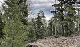 Lots 16 Lot17 Palo Flechado Ridge Road, Angel Fire, NM 87710