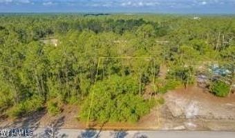 2109 Irving Ave, Alva, FL 33920