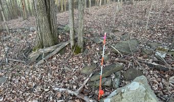 Lot 4 Mud Run Rd, Addison, NY 14801
