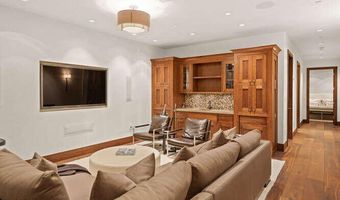 719 E Hopkins Ave 202, Aspen, CO 81611