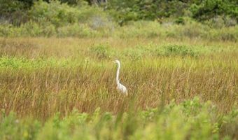 53 Crassen Blvd 31, Amagansett, NY 11930