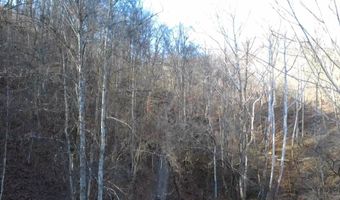 14001 Ridgeview Nellis Rd, Ashford, WV 25142