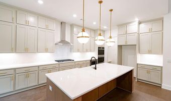 8280 Scarlett Grace Ln, Gainesville, GA 30506