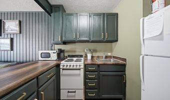 651 S Snowflake Ln 109, Brian Head, UT 84719