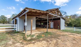 1795 CANEY Br, Adamsville, TN 38310