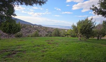 Bugling Bull Road, Cold Creek, NV 89124