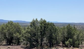 1496 W Picacho Dr, Ash Fork, AZ 86320