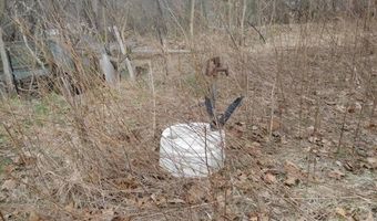 MOLER DRIVE, Augusta, WV 26704