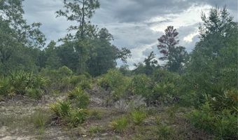 NE 105ST, Archer, FL 32618