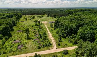 303 Westwood Rd NW, Alden, MI 49612