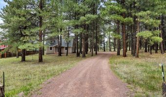 24 Co Rd 2065, Alpine, AZ 85920