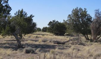 00 Dusty Ln, Fence Lake, NM 87315