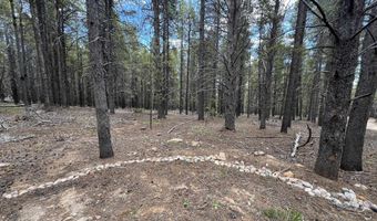 10555 THK Rd, Casper, WY 82601