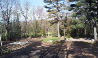 N10595 HWY 45, Aniwa, WI 54414