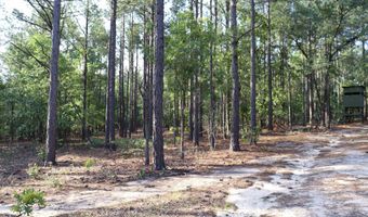 2631 Charlie Johnson Rd, Bethune, SC 29009