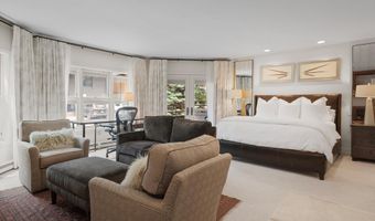 925 E DURANT Avenue 2, Aspen, CO 81611