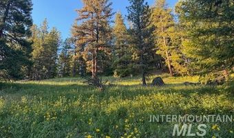 120 Acres Anatone, Anatone, WA 99401