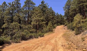 TBD Unit 3 Forest Lakes, Bayfield, CO 81122
