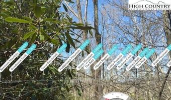 62 Acres Buckeye Ridge Rd, Beech Mountain, NC 28604