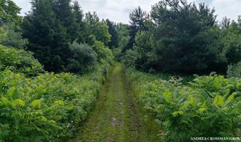 9325 S Cedar Dr, Allendale, MI 49401