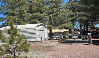 10 County Road 2117, Alpine, AZ 85920