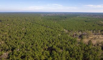 527 Forest Service Rd, Apple Springs, TX 75926