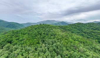 399 Shell Stand Rd, Almond, NC 28702