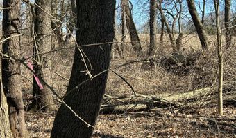 5725 Whitneyville Ave SE, Alto, MI 49302