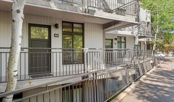 800 E Hopkins Ave A-3, Aspen, CO 81611
