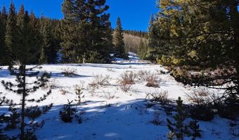 3553 RIVER Dr, Alma, CO 80420