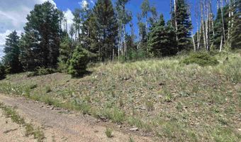 Plesant Valley lot 1302, Angel Fire, NM 87710