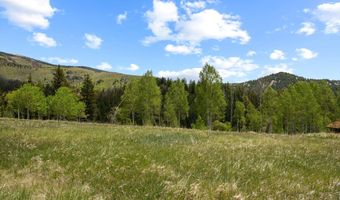 1239 Mclaughlin Ln, Basalt, CO 81621