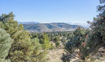 3221 Reese Ln, Gardnerville, NV 89410