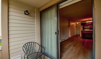 1001 Grandview Dr 11, Breckenridge, CO 80424